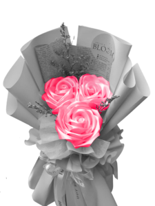 rose_medium_pink